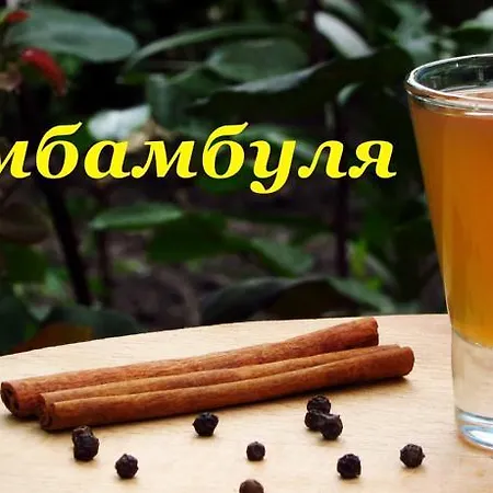 Apartament Sauna & Akva Relax Vip